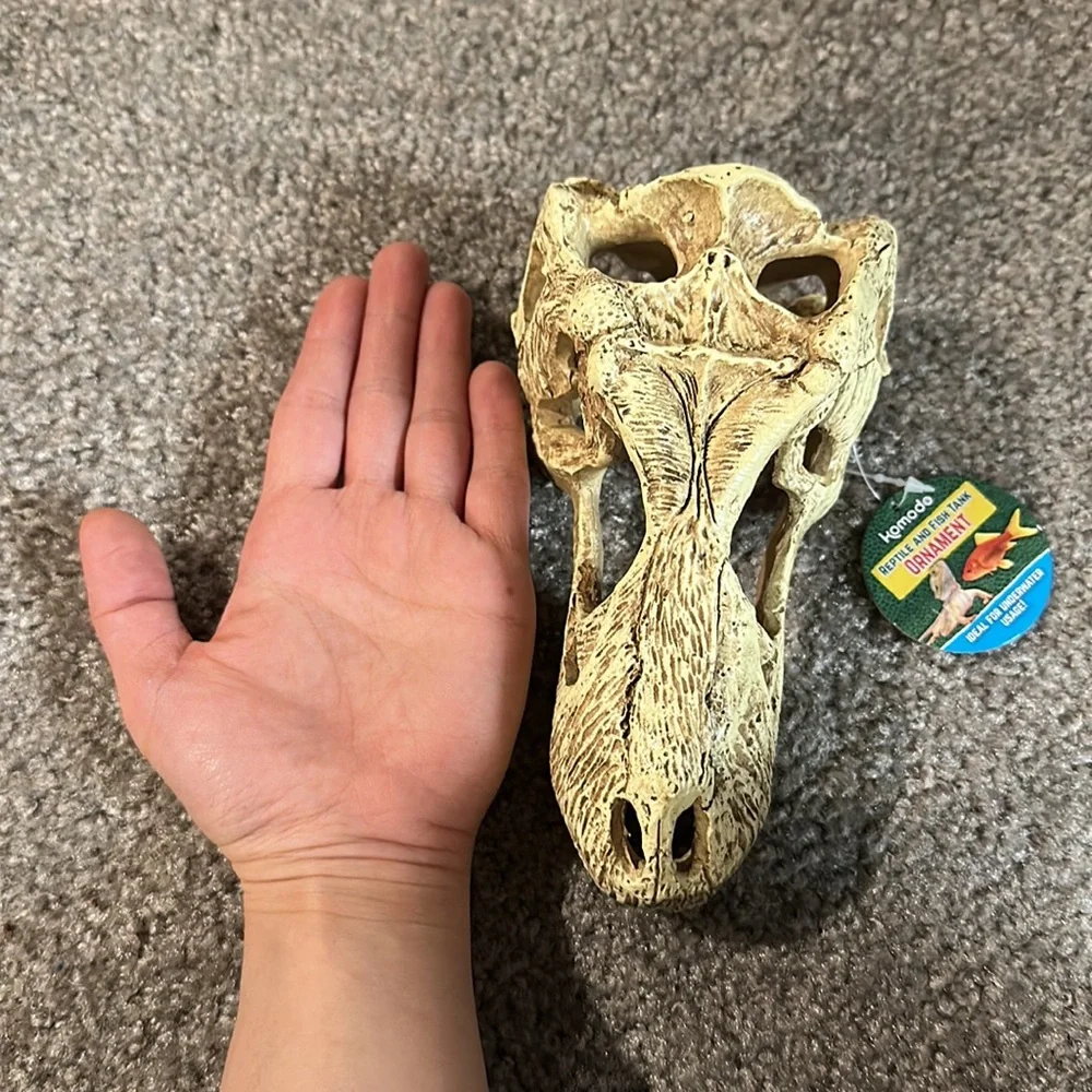 reptile / fish tank ornament skull